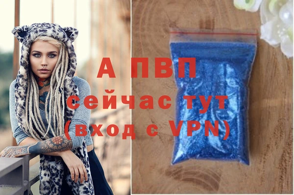 кокаин Богданович