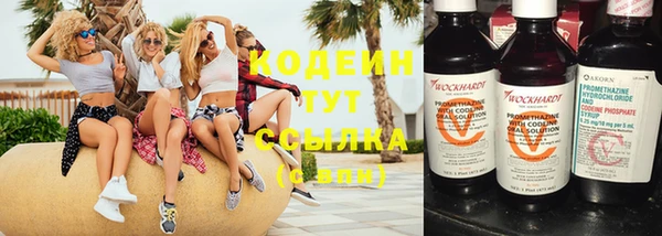 шишки Богородицк