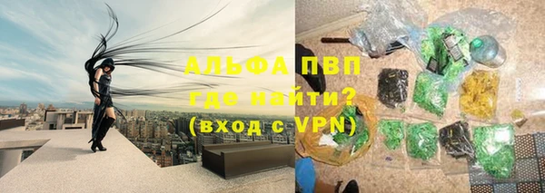 шишки Богородицк