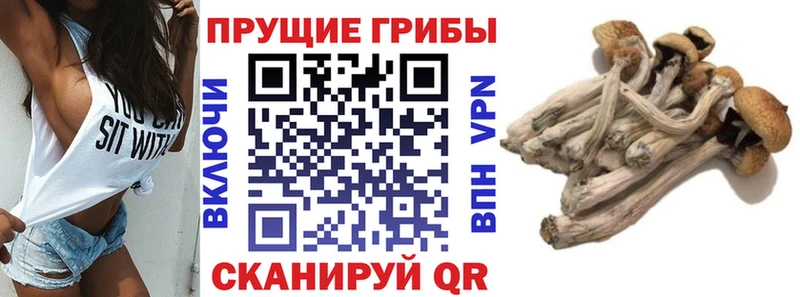 маркетплейс Telegram  Ворсма  Галлюциногенные грибы ЛСД 